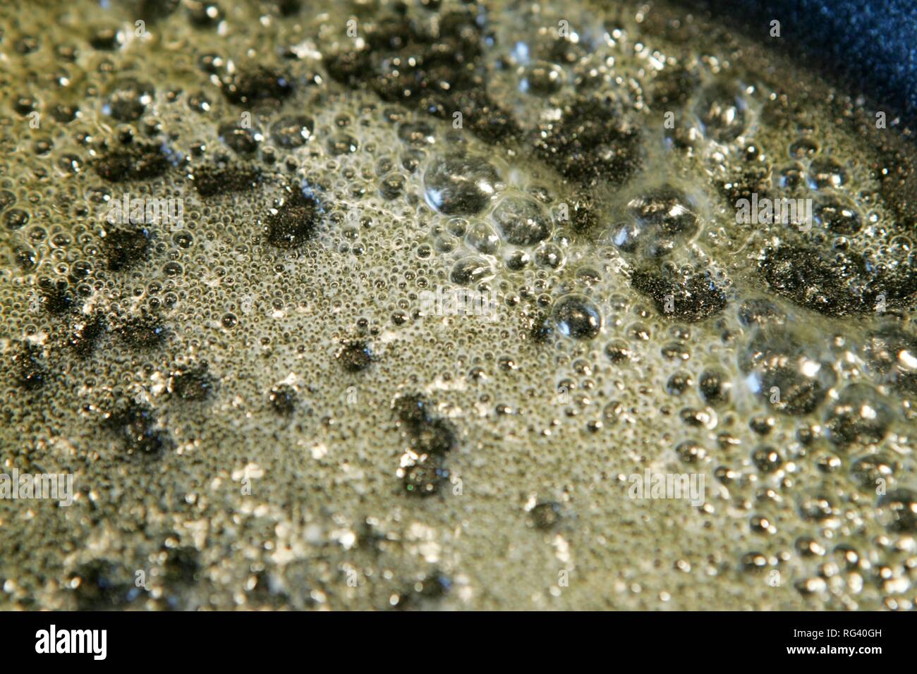 DEU, Germany butter is melting in a pan Stock Photo Alamy