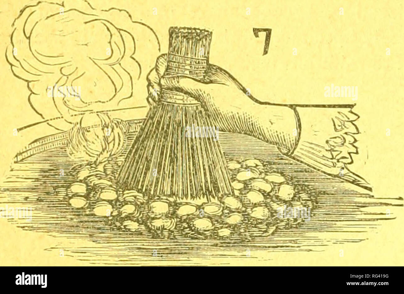 . The California silk growers' manual / by W.B. Ewer. California Silk