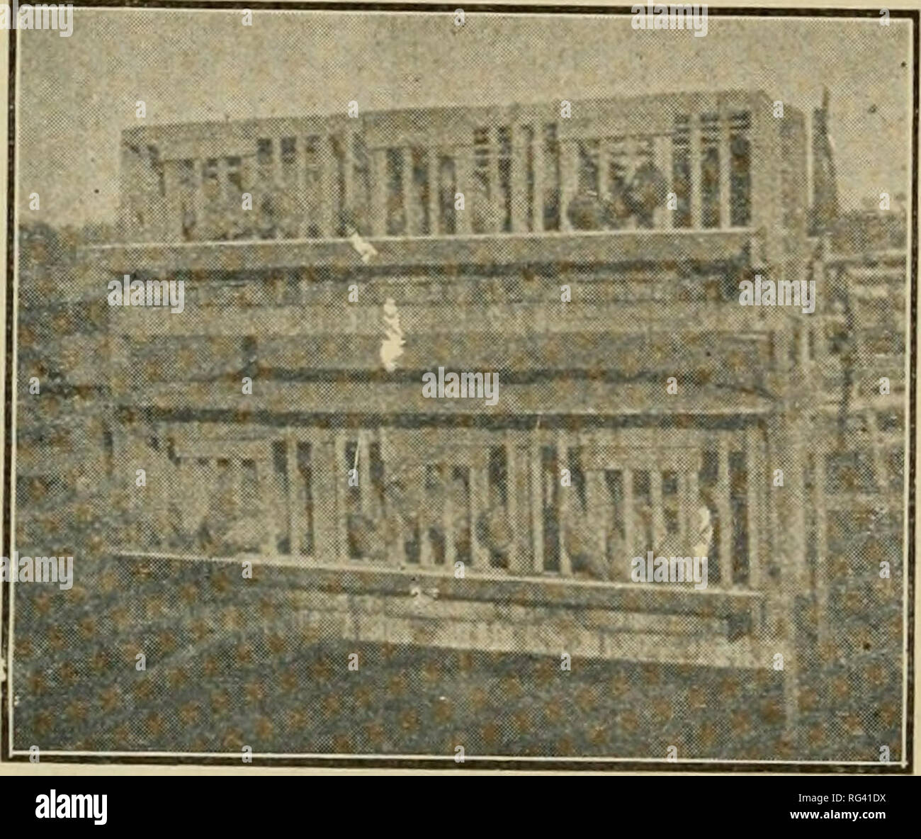 . California poultry culture. Poultry. Crate Fattening of Chickens. We