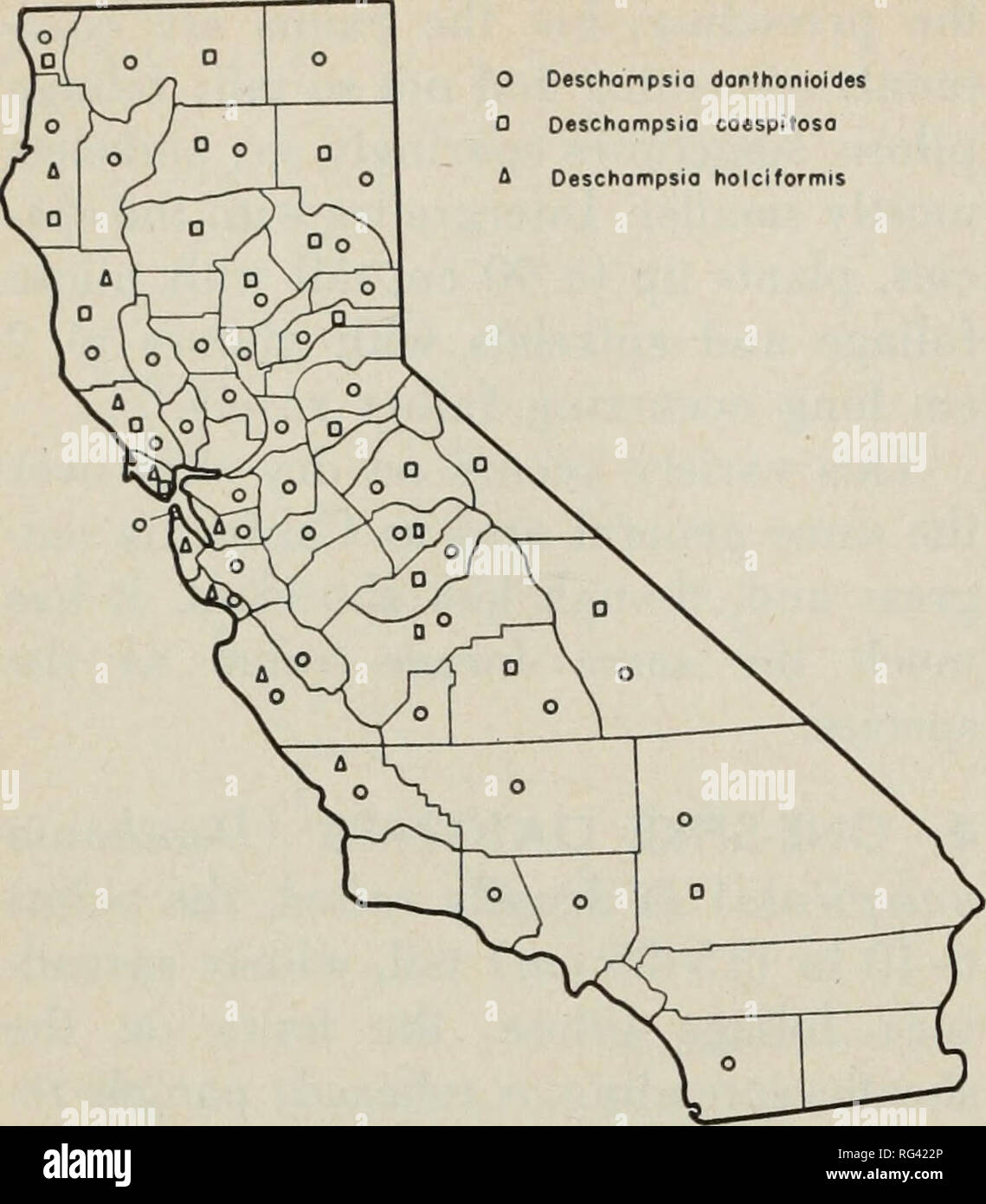. California grasslands and range forage grasses. Grasses; Forage plants. Deschompsia danthonioides Deschompsio caespitosa Deschampsio holciformis. Fig. 68. Distribution of hairgrasses (Deschampsia spp.) Four hairgrasses are found on Cali- fornia range lands. Of the three species important for forage, two are perennials and one an annual. (Fig. 68.) Key to Species Plants annual, awns bent 3. D. danthonioides Plants perennial; awns nearly straight Panicle open 1. D. caespitosa Panicle narrow, dense 2. D. holciformis 1. TUFTED HAIRGRASS (Deschampsia caespitosa) grows in dense tufts, 1%- S1/^ ft  Stock Photo