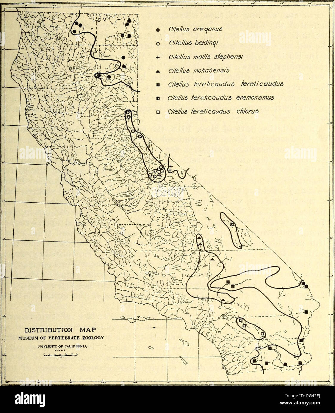 California Ground Squirrels A Bulletin Dealing With Life Histories california-ground-squirrels-a-bulletin-dealing-with-life-histories