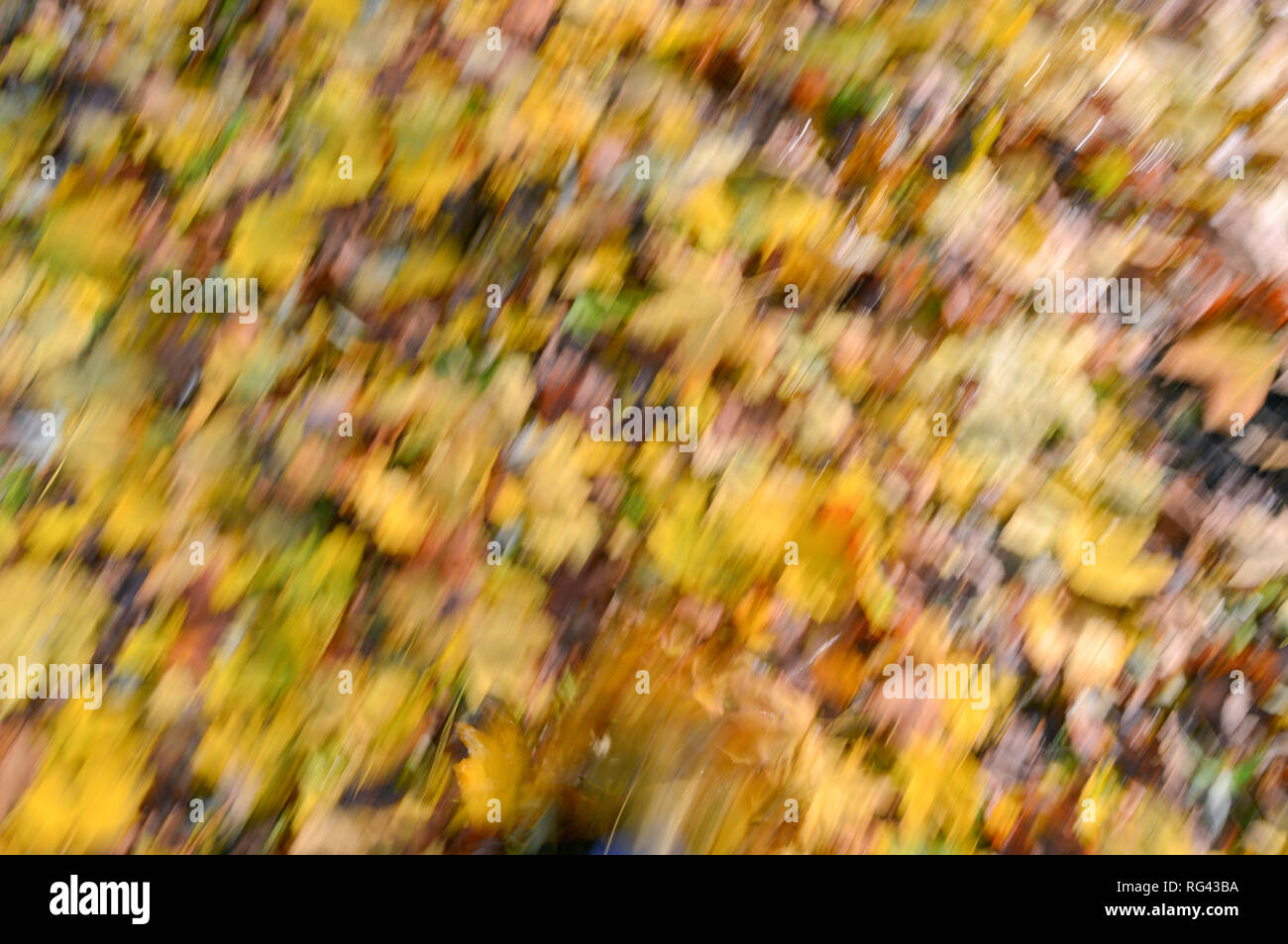 Autumn Color Palette Stock Photo Alamy