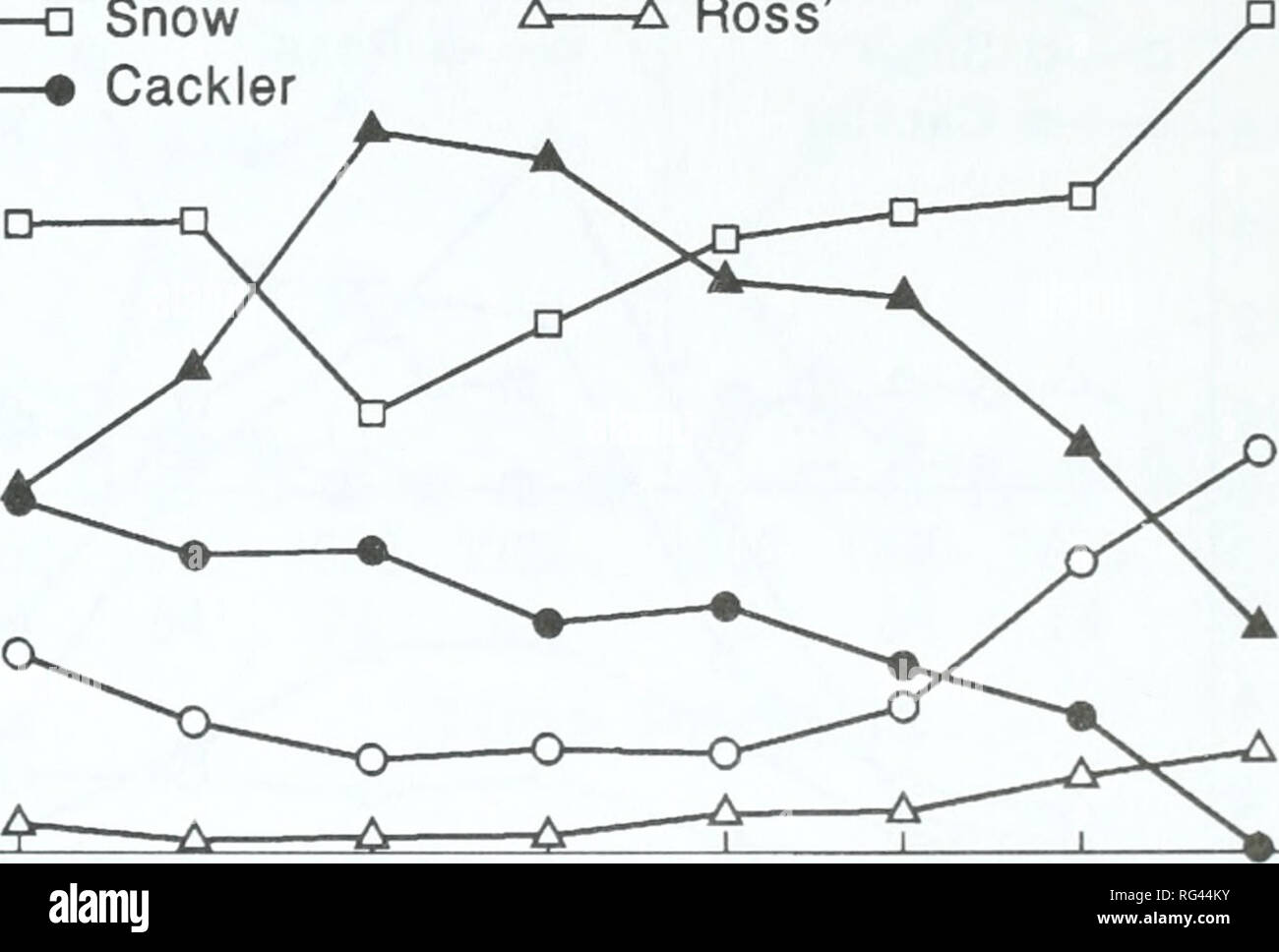 . California fish and game. Fisheries -- California; Game and game-birds -- California; Fishes -- California; Animal Population Groups; Pêches; Gibier; Poissons. GOOSE HARVEST PATTERNS IN CALIFORNIA 139 /960.V--Harvest, hunter success, and hunter visits increased dramatically during the 1960s (Fig. 3) as new PHAs were established and data from Tule Lake and Lower Klamath NWRs became available. White-front and cackler abundance was about half that during the 1950s, but white geese increased so overall goose abundance was similar to the 1950s (Fig. 1). Harvest regulations remained relatively lib Stock Photo