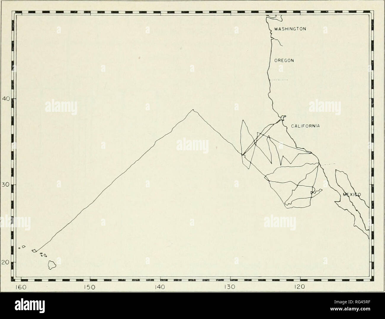 . California fish and game. Fisheries -- California; Game and game-birds -- California; Fishes -- California; Animal Population Groups; Pêches; Gibier; Poissons. ALBACORE FISHING GROUNDS 75. FIGURE 1. A portion of the eastern north Pacific Ocean illustrating schematically vessel tracks for the N. 6. ScoField (Cruise 59S4) and Hugh M. Smith (Cruise 52) albacore survey, 1959. Trolling Gear The trolling gear was basically the same as that used by the com- mercial fleet (Scofield, 1956). Feathered japheads and bone jigs out- fitted with barbless hooks were used on lines of varying length. Seven li Stock Photo