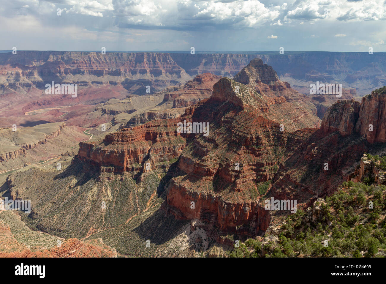 View from Walhalla Overlook viewpoint, Grand Canyon North Rim, Arizona, United States. Stock Photo