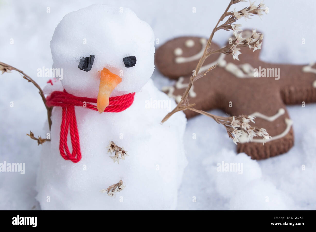 Concept of Winter Depression with Snow White and a Gingerbread Man. Stock Photo