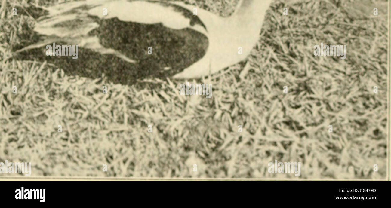 hermes sac à dépêches