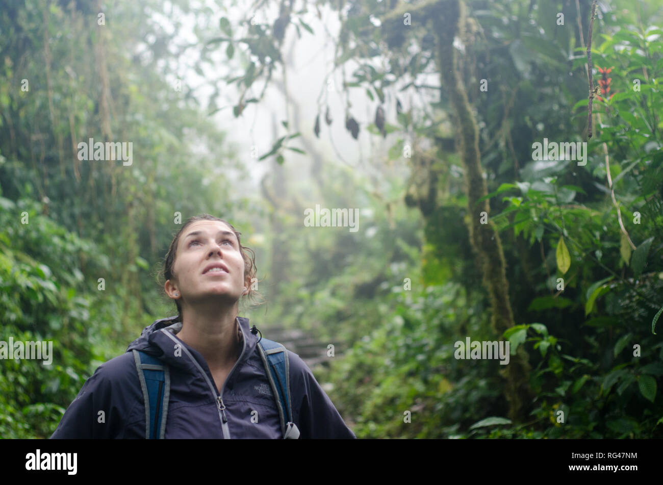 Woman trekking through forest hi-res stock photography and images - Alamy