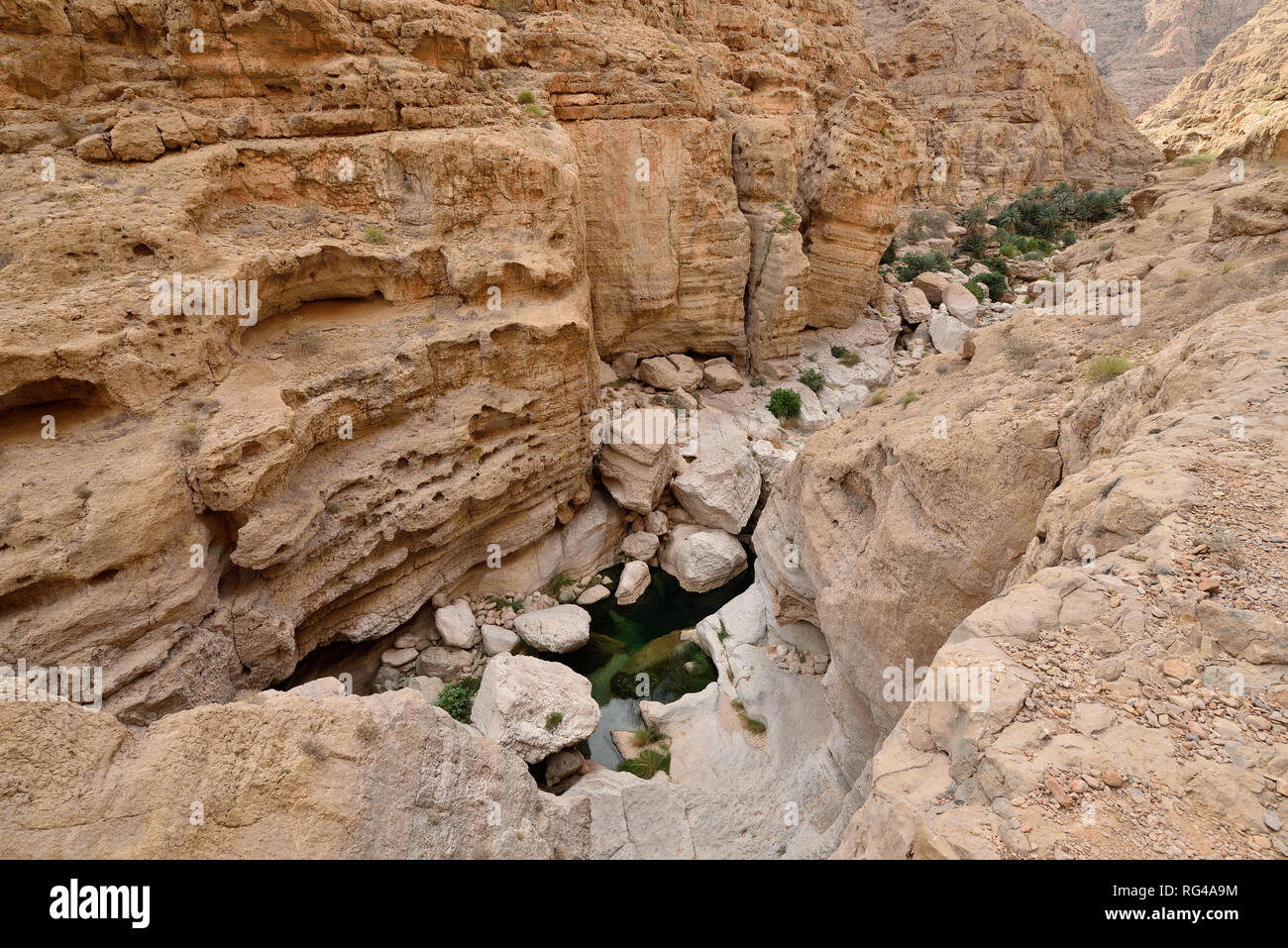 Emerald green water on the Wadi Shab. This valley is one of the most amazing in Oman Stock Photo