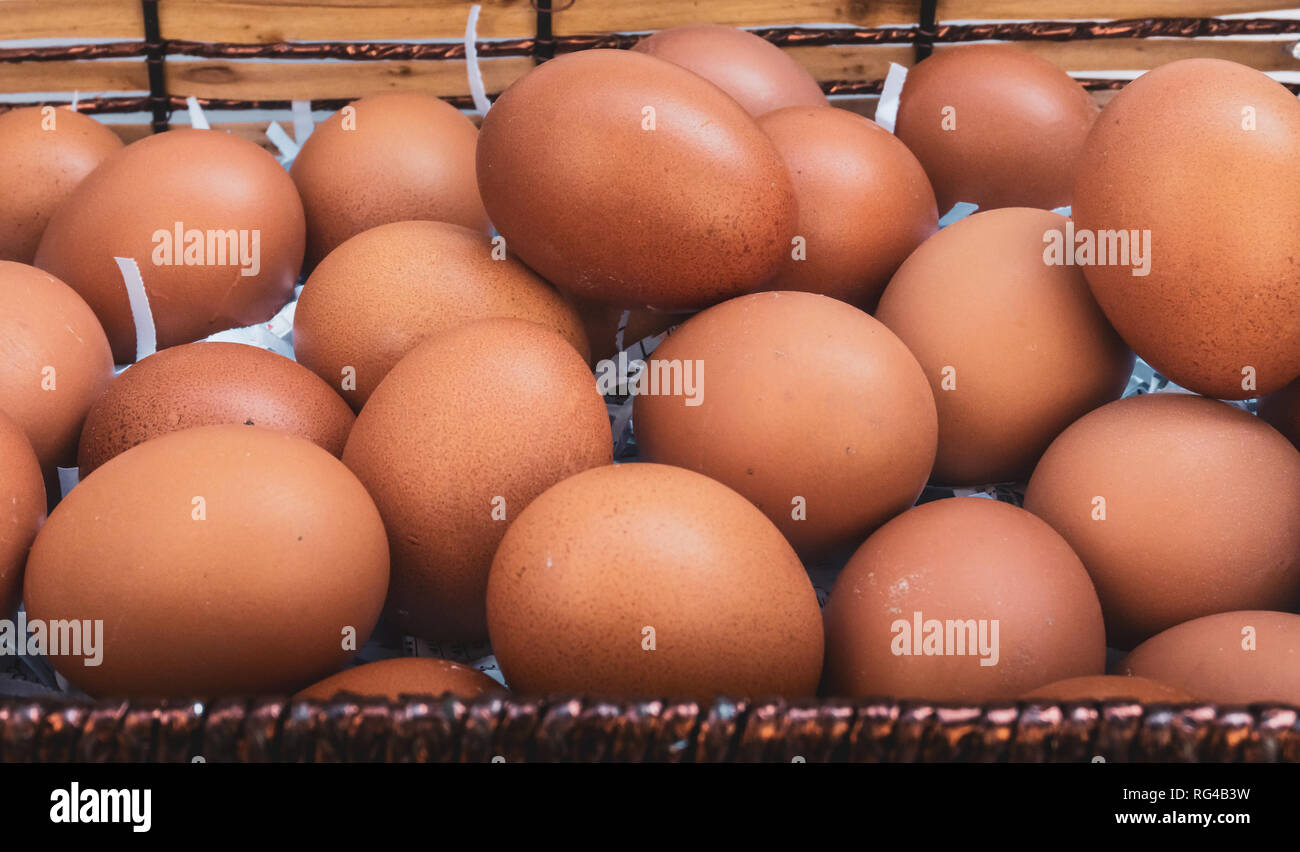 Fresh eggs on paper scraps prevent shock. Stock Photo