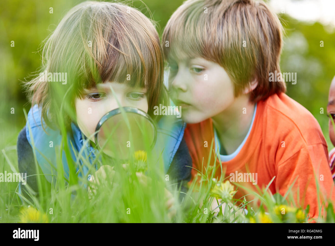 Three children as researchers and detectives look at nature and the environment through a magnifying glass Stock Photo