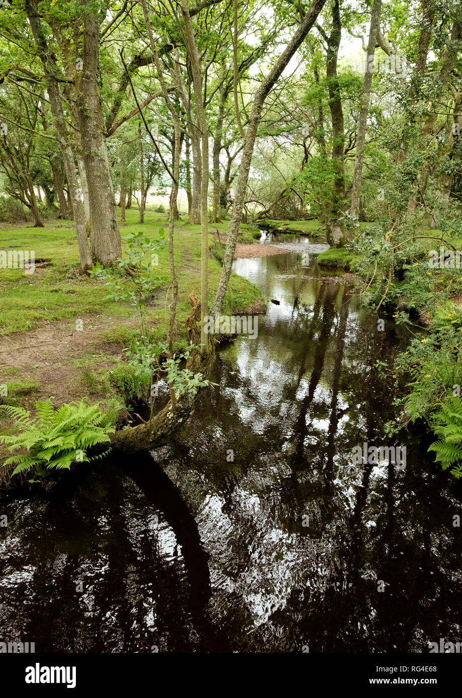 Linwood hires stock photography and images Alamy