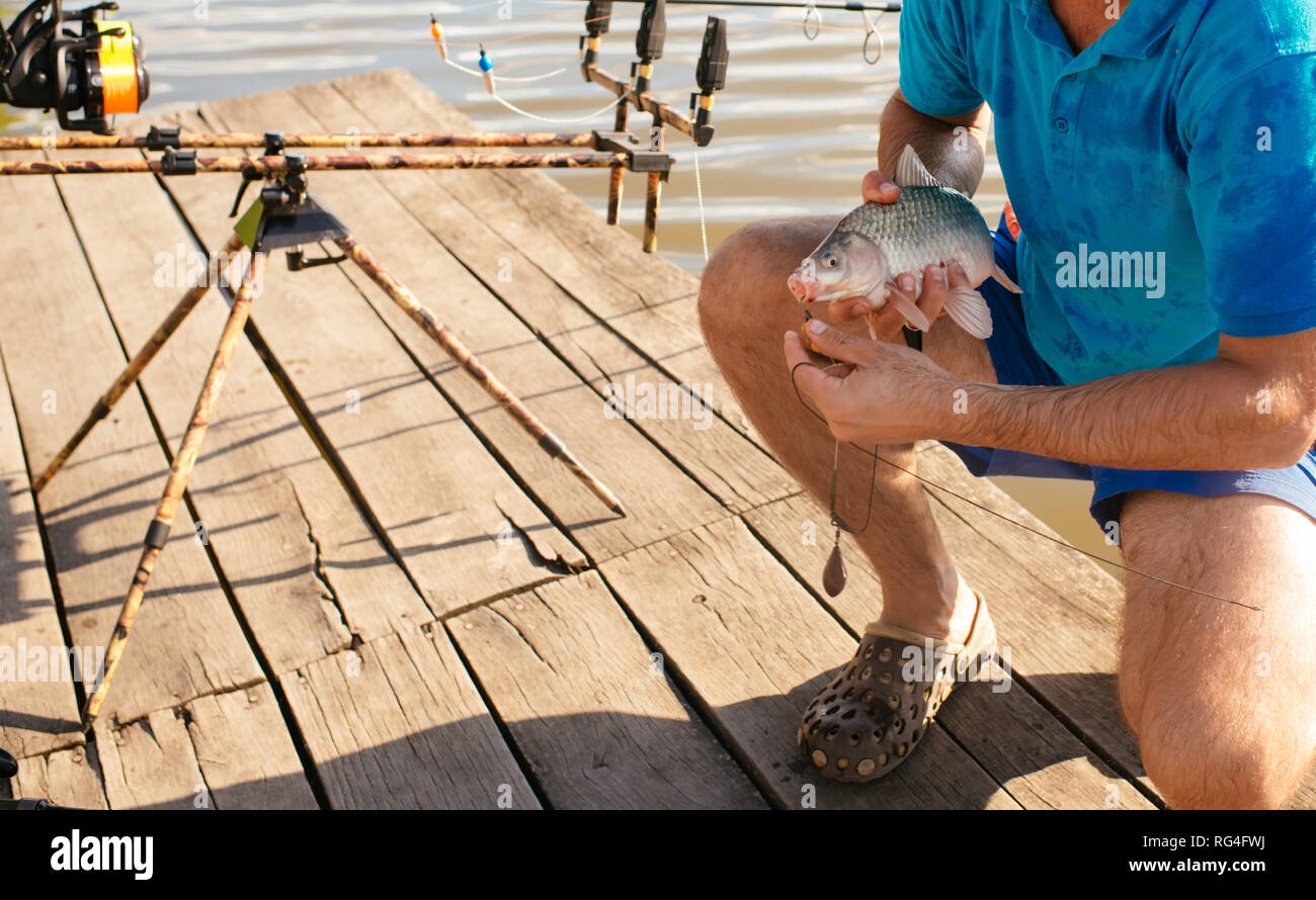 Fish hooked on mouth in male hands, bait fishing Stock Photo Alamy
