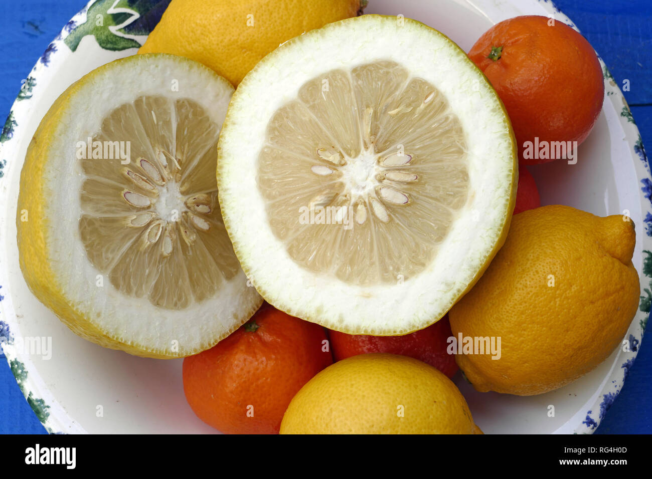 Cedrat, lemon and mandarine in studio Stock Photo