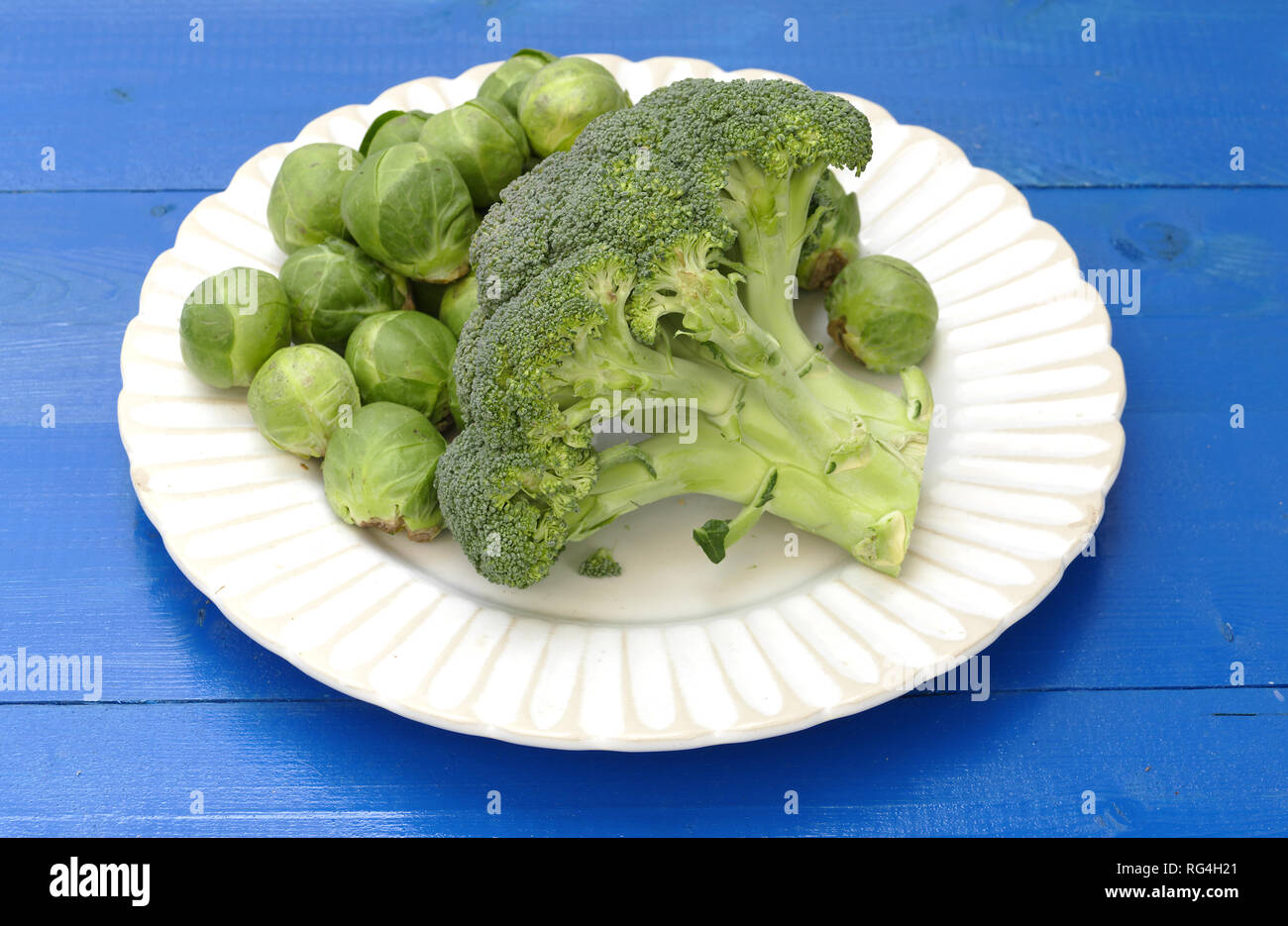 Brocoli and brussels sprouts in studio Stock Photo