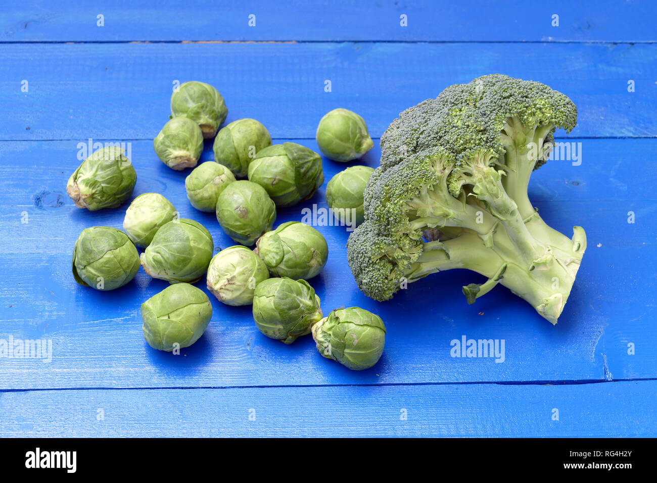 Brocoli and brussels sprouts in studio. Stock Photo