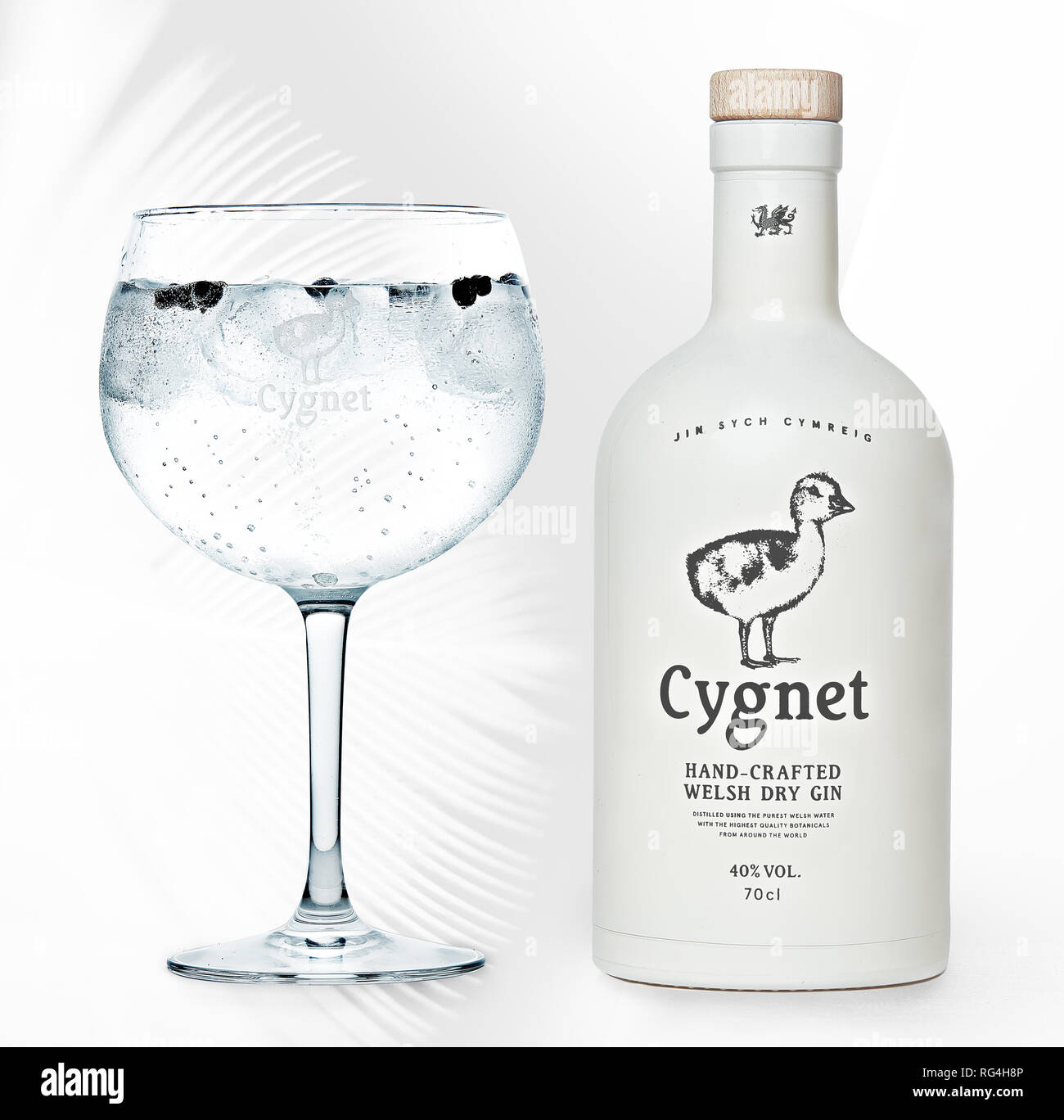 Cygnet craft gin bottle and gin and tonic Stock Photo