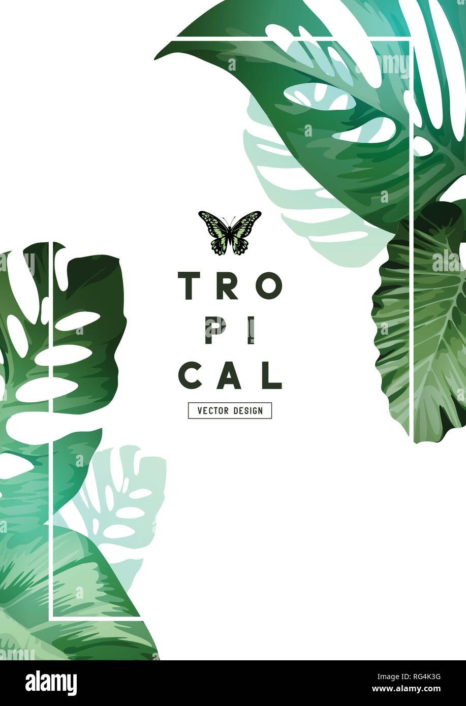 A elegant botanical Floral background frame design with palm tree leaves. Vector illustration Stock Vector