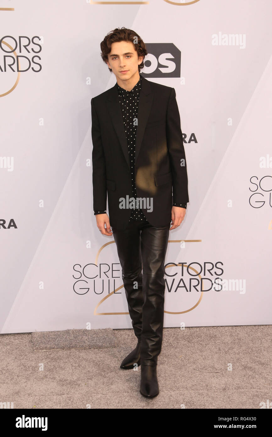Los Angeles, California, USA. 27th Jan, 2019. 27 January 2019 - Los ...