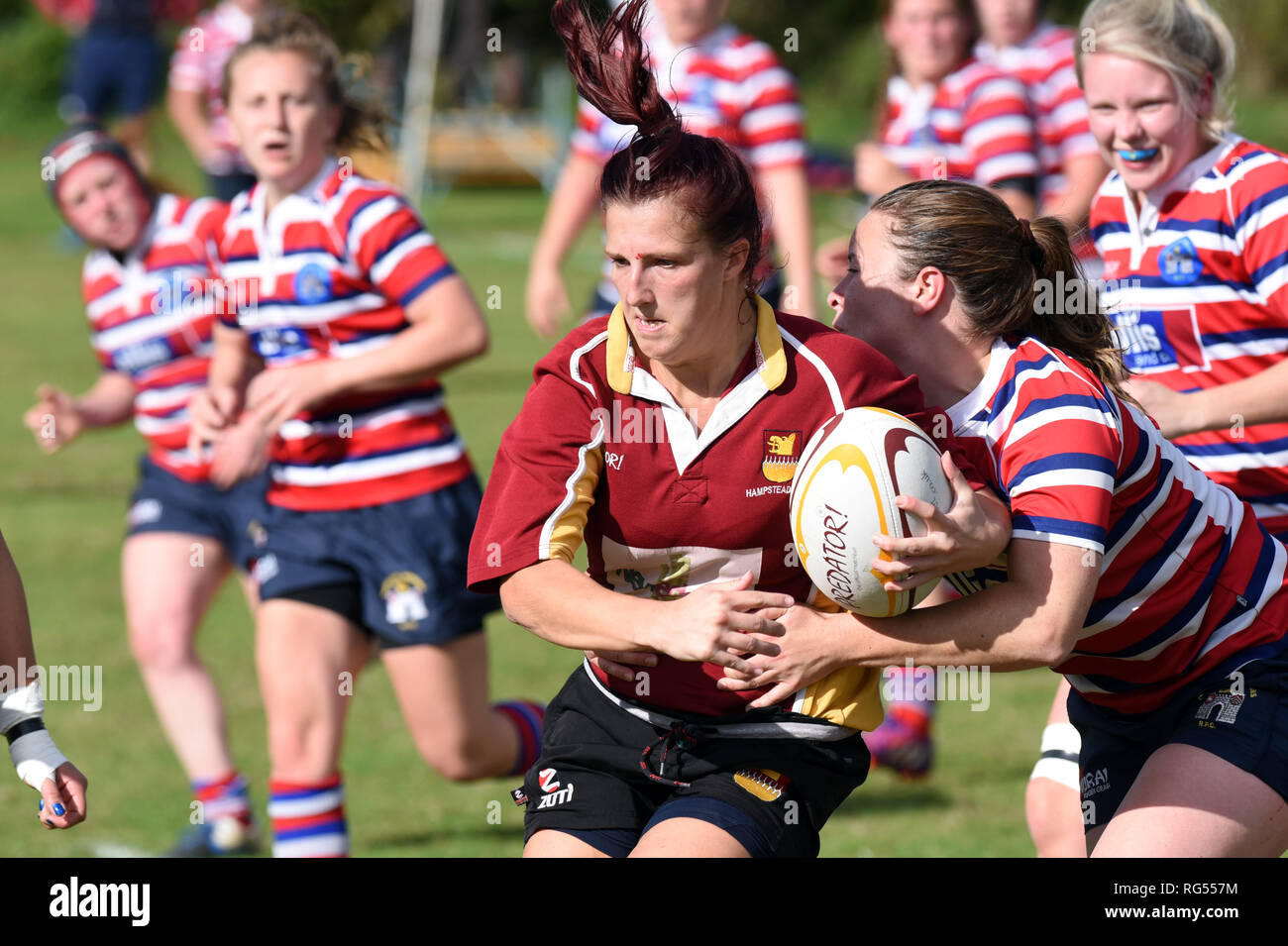 North Midlands Rugby Referees Adult's Black Leisure Short Womens North Midlands Rugby Referees Adult's Black Leisure Short Womens