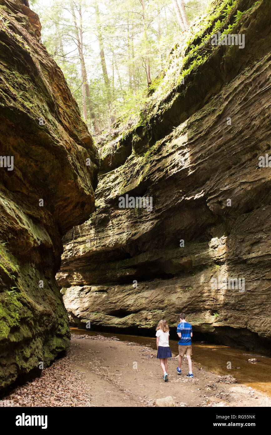 A brother and sister walk through a at Turkey Run State Park in