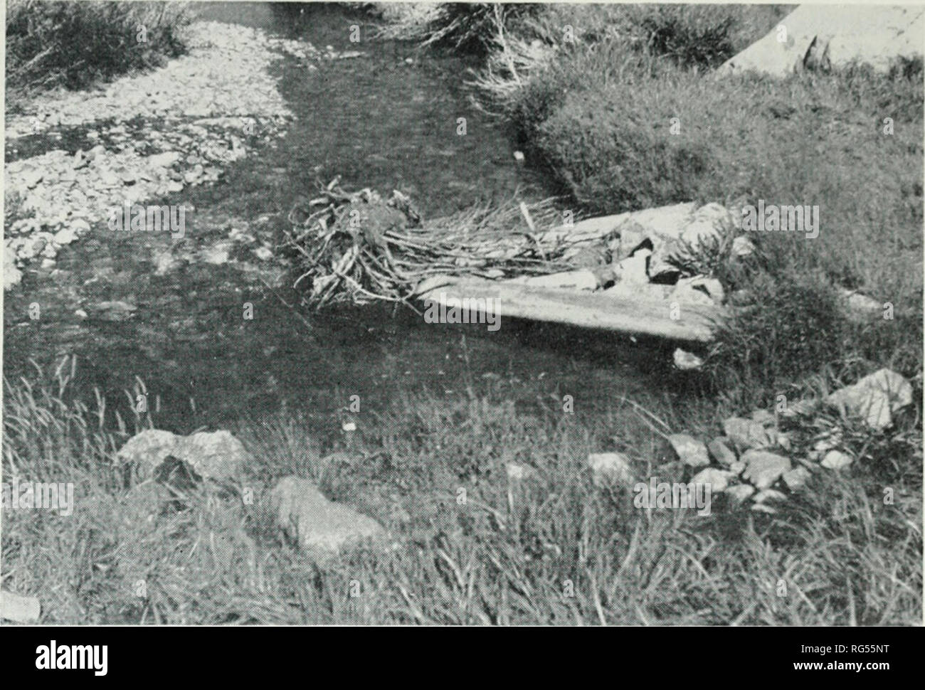 Log deflector hi-res stock photography and images - Alamy