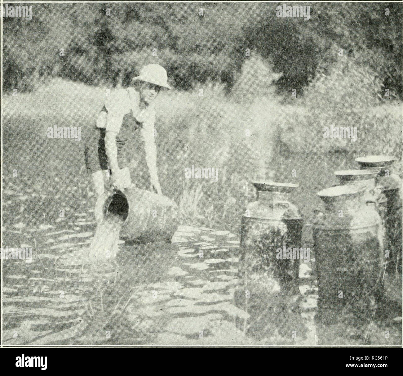 . California fish and game. Fisheries -- California; Game and game-birds -- California; Fishes -- California; Animal Population Groups; Pêches; Gibier; Poissons. 332 CALIFORNIA FISH AND GAME Remember these are onlj^ first aid measures and recommended as such; play safe and get a doctor as soon as possible. HOW ABOUT THESE ROUGH FISH? The Fish Rescue Bureau receives many inquiries regarding the disposition of the fish which are reclaimed. "Why do you save those terrible carp and those repulsive catfish?" and many other like ques- tions are asked. The bureau considers carp eradication Stock Photo