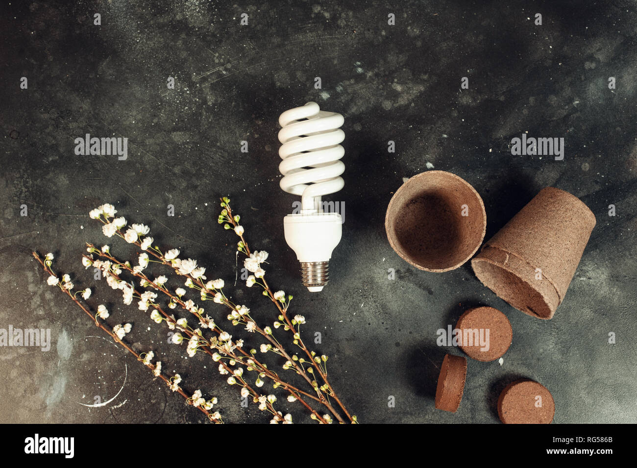 eco bulb energy saving concept Stock Photo