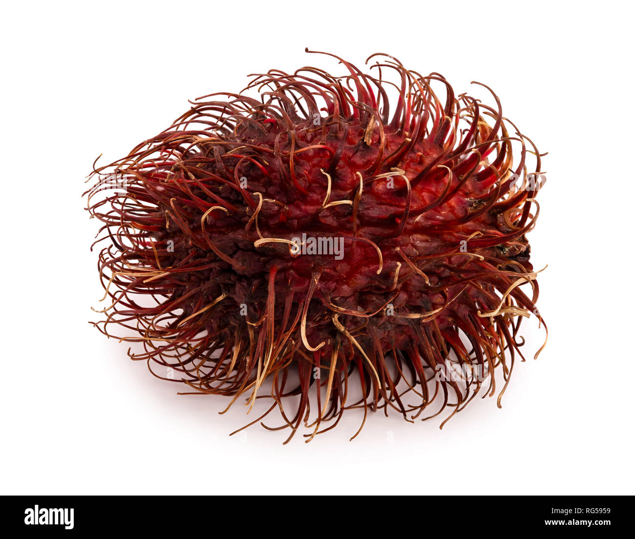 rambutan isolated on white background. Tropical fruit. Nephelium ...