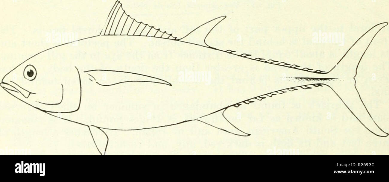 California fish and game. Fisheries -- California; Game and ...