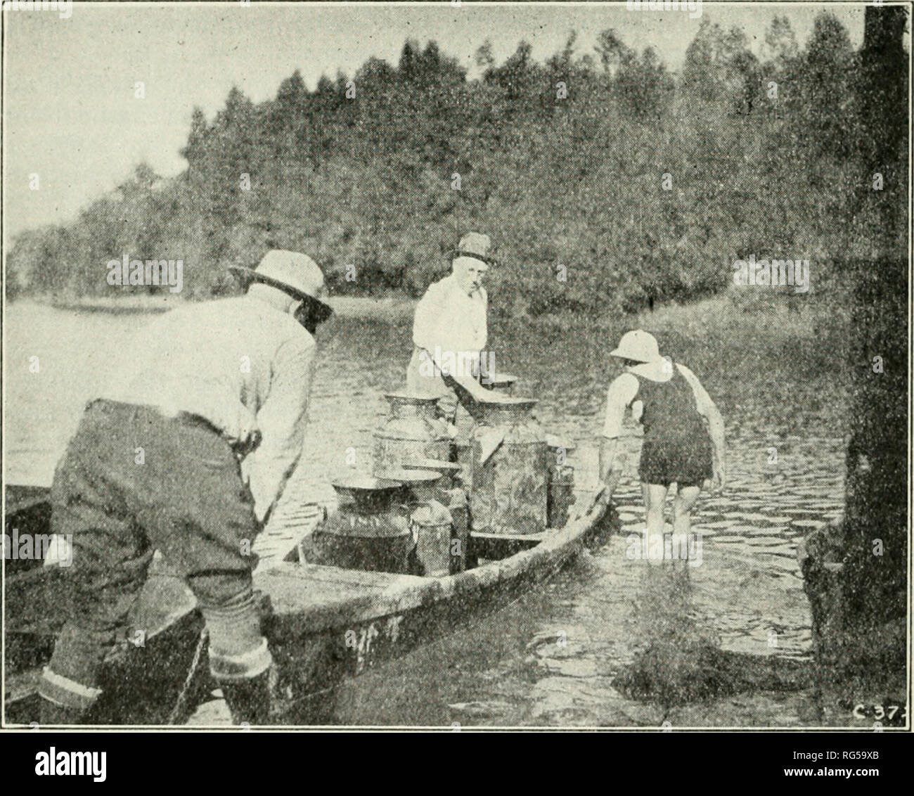 . California fish and game. Fisheries -- California; Game and game-birds -- California; Fishes -- California; Animal Population Groups; Pêches; Gibier; Poissons. 296 CALIFORNIA PISH AND GAME deal. We have had more enjoyment in showing our tackle to some interested novices than in lots of fishing trips we have experienced. There is no question but what the proper tackle will add infinitely to the angler's pleasure. Light, flexible rods, such as are only obtain- able through the use of split bamboo; small, well-balanced &quot;quad&quot; reels, without antibacklash &quot;do-jiggers&quot; and ligh Stock Photo