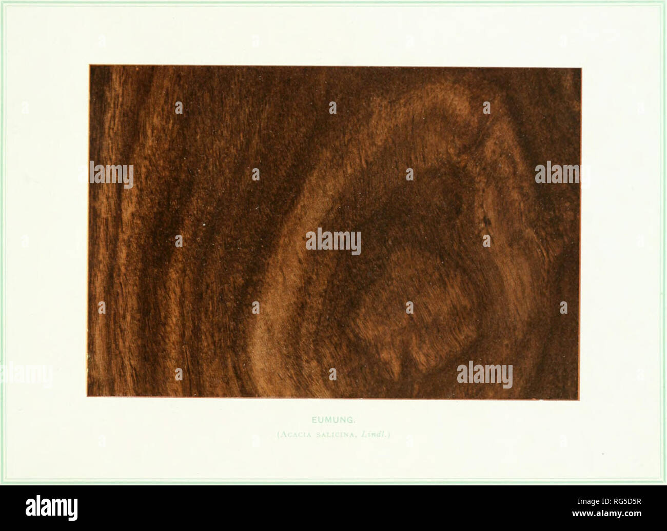 Booksubjecttimber hires stock photography and images Alamy