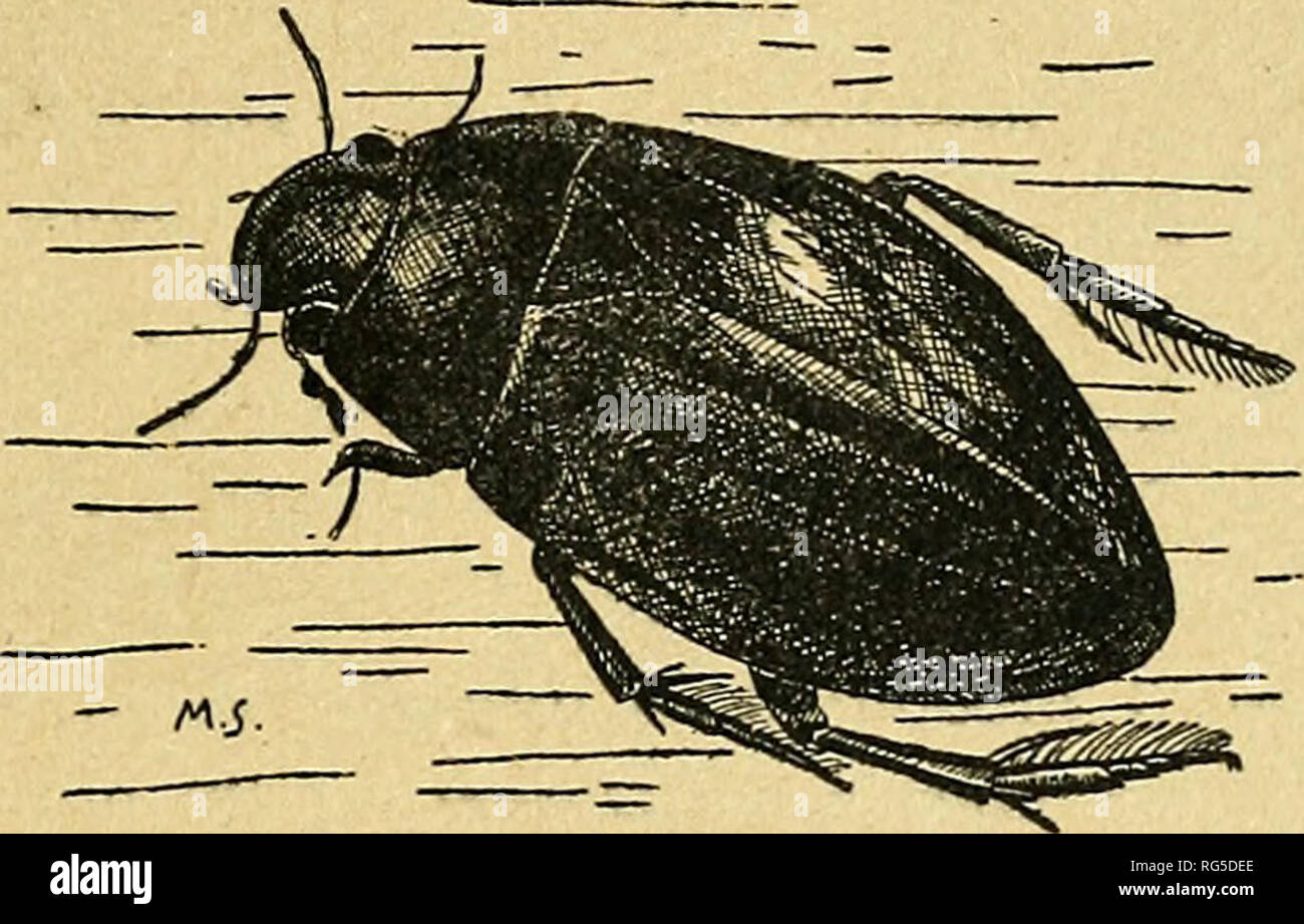 Sacchetto Sabbia Tattico Per Fucile ACEXIER - Supporto Mira Per Caccia E Tiro - Foto 3