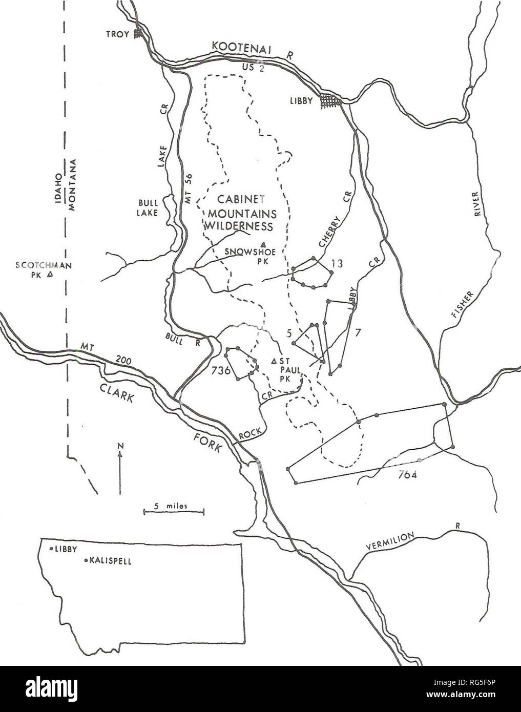 . Cabinet Mountains grizzly bear study. Wildlife management; Grizzly ...