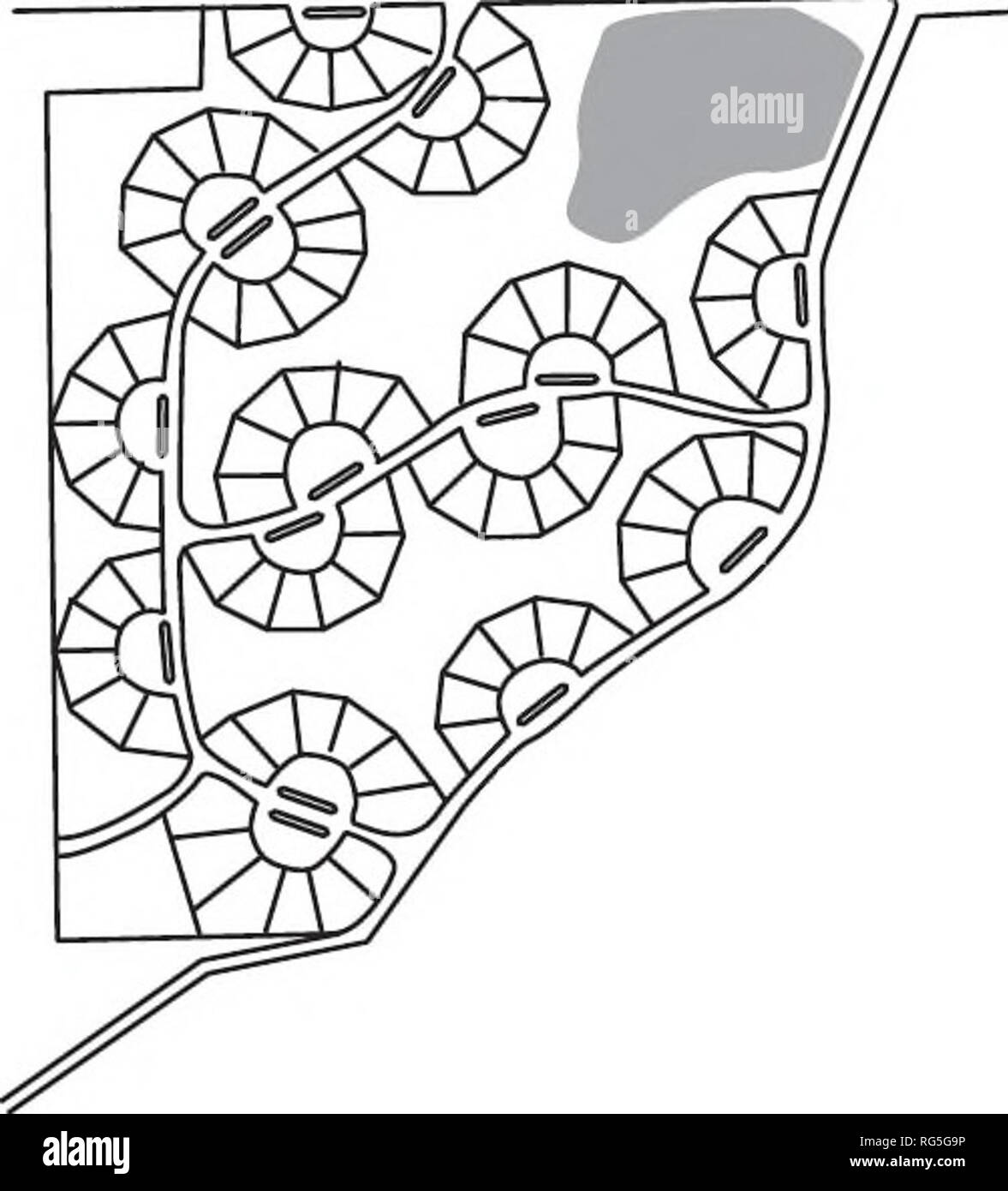 . A planning guide for protecting Montana's wetlands and riparian areas