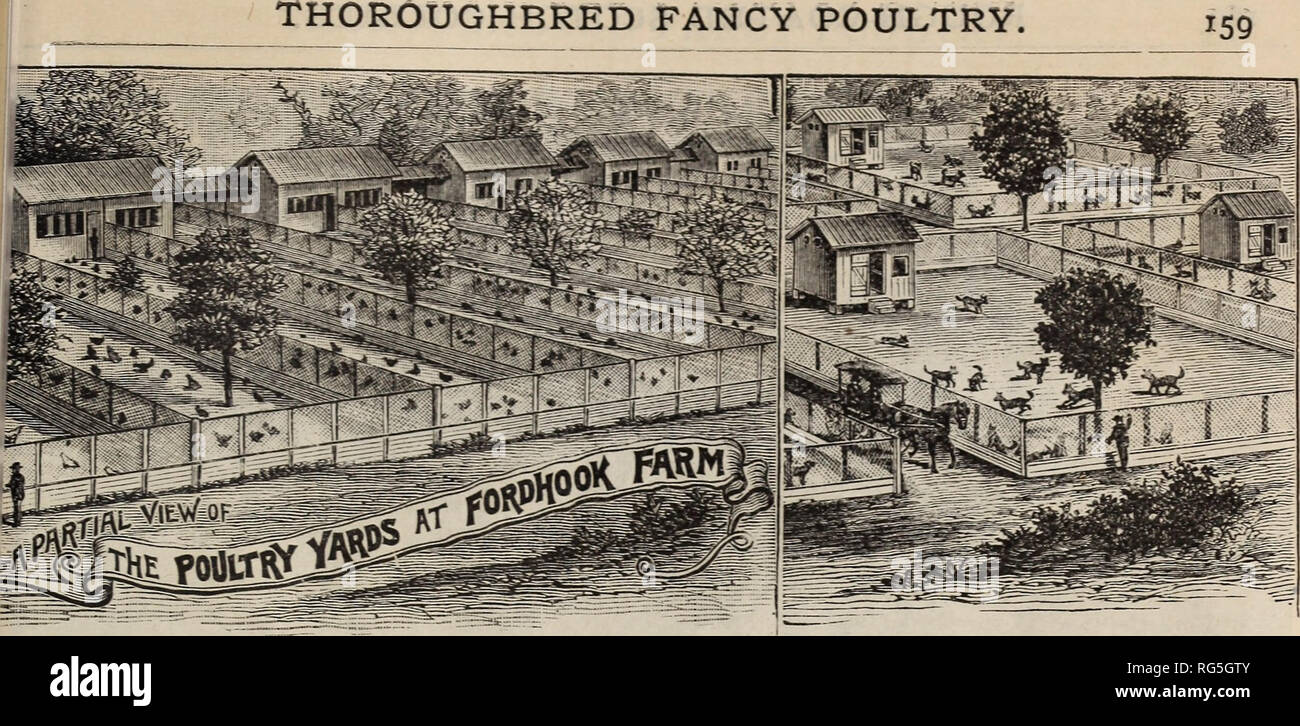 . Burpee's farm annual, 1892. Nursery stock Pennsylvania Philadelphia Catalogs; Flowers Catalogs; Vegetables Catalogs; Seeds Catalogs. A PARTIAL VIEW OF THE FORDHOOK FARM POULTRY YARDS AND KENNELS. In the illustration given above is shown a portion of the Kennels and Poultry Yards situ- ated at Fordhook Farm. The Poultry Yards, instead of forming one long range, are all separate, each divided into compartments b}^ a passage-vray through the center, by which the eggs can be collected and the dropping-s cleared away without entering the roosting places. Each compartment leads into a run of its o Stock Photo