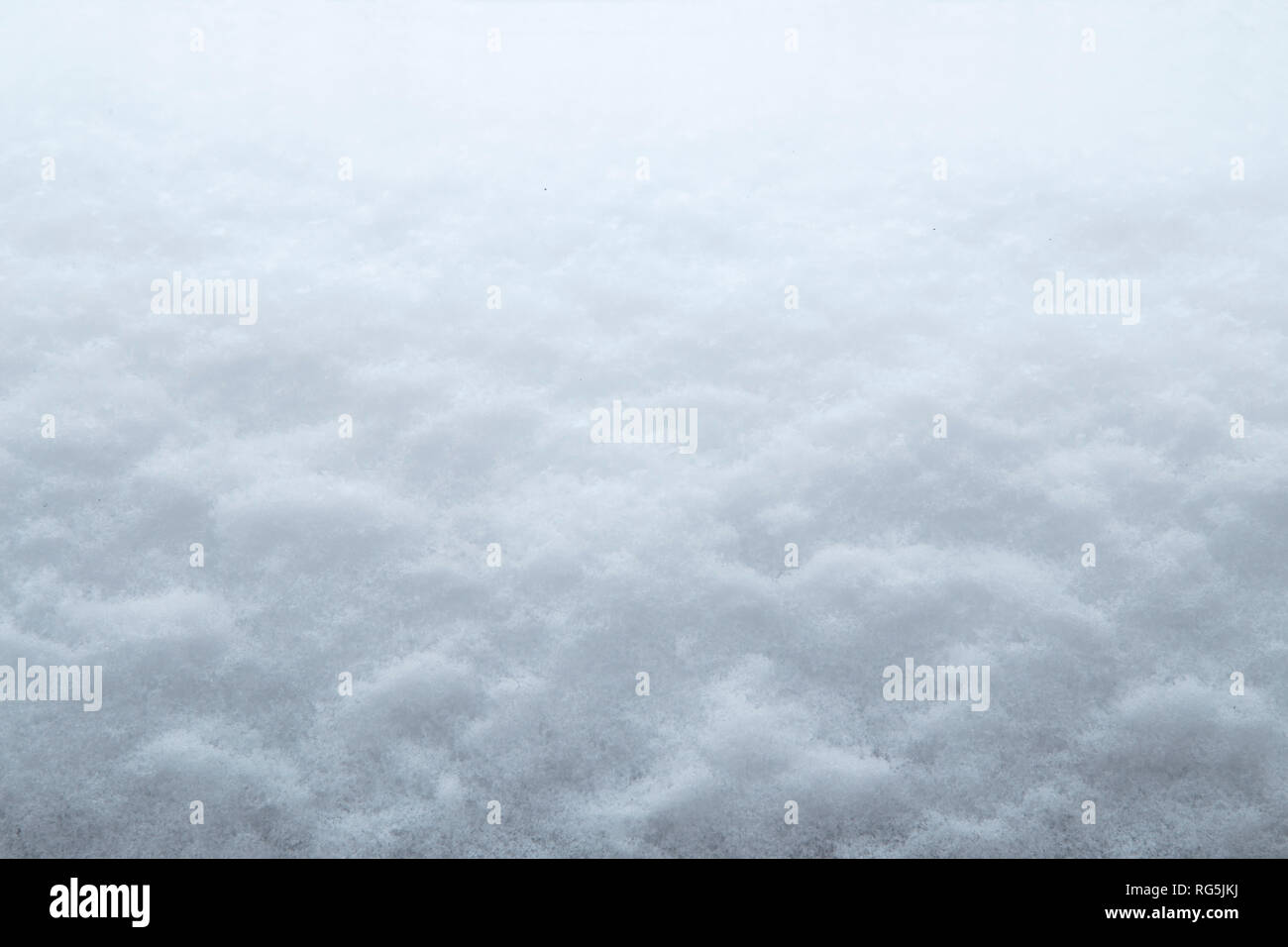 White fluffy snow as background Stock Photo