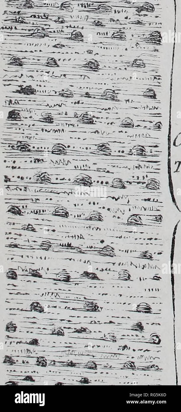 . Calcutta journal of natural history, and miscellany of the arts and sciences in India. Natural history. Section/ of'the/SUvUao pa6Std ' r^ â¢? *y . Felspar* SC crrcuntjU/ b-^s fOTi '5&amp;* â¢-'.-.^-.'iv:: I ScuixL-stoMf' slightly :V â .V':-&quot;;.;' Ifossittfcrouj Strcttun;  r- f. Loetrsey Conglorrvesr'&amp;iA^/ TluA^dyfossiJiprous /v.jx =5?| tiiyiyLixcceovcs truM^t âMi/'ZS' &gt;L oosfy SccnsZ s to nsU)les Qiuxj6z,os CorUfLotri^aXe '^S'^r^iiH* ./tolft/&gt;swey ClUx4ct. SjÂ» f , KfKnJkvcr SkSS^ZSi JiZccot-ceoits Oljcy  â â ( â wÂ«- Nyv-^- K&amp;mM l^AJ&quot; CX**C*LCtft4UjS. Please note Stock Photo