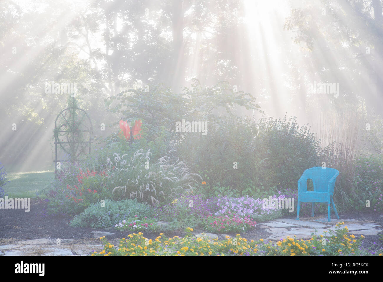 63821-23703 Sun rays in fog in flower garden, Marion Co., IL Stock Photo