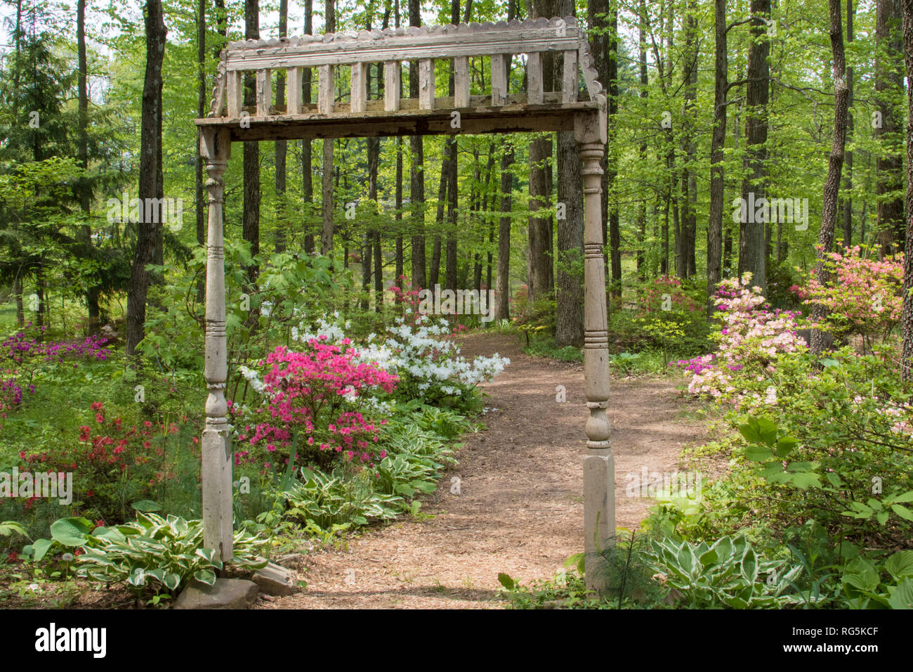 Azalea path arboretum and botanical gardens hires stock photography