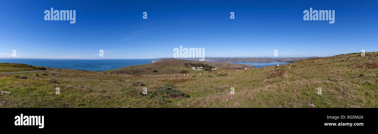 Panoramic view of Tomales Point with Tule Elk, Pierce Point Ranch, Dillon Beach and Tomales Bay. Stock Photo