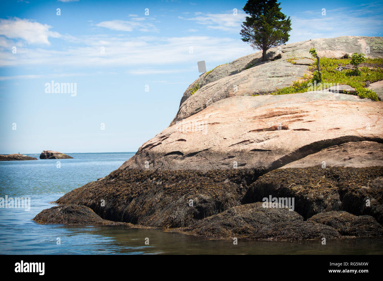 Public Thimble Island Tour from a boat with public viewing of homes