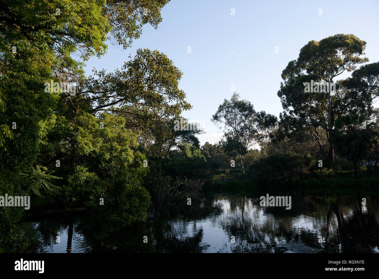 Billabong lake in Victoria, Australia Stock Photo - Alamy