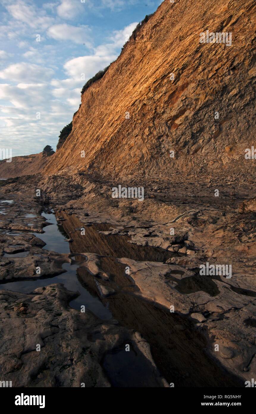 Agate Beach is home to the Duxbury Reef. During low tide, a large