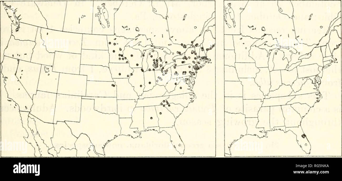 . Bulletin - United States National Museum. Science. ICHNEUMON-FLIES, PART 2 EPHIALTINAE 423 Indiana (Monroe-Morgan State Forest in Morgan Co.); Iowa (Henry Co. and Madison Co.); Kansas (Douglas Co. and Topeka); Maine (Bar Harbor, Lincoln Co., and Monmouth); Maryland (Cabin John, Glen Echo, and Hummers Island); Massachusetts (Amherst, Boston, Duxbury, Forest Hills, Milton, Mount Wachusett near Princeton, Pepperell, and Winchendon); Michigan (Ann Arbor, Aurelius, Branch Co., Cass Co., Detroit, Douglas Lake in Cheboygan Co., East Lan- sing, George Reserve in Livingston Co., Genesee Co., Gratiot Stock Photo