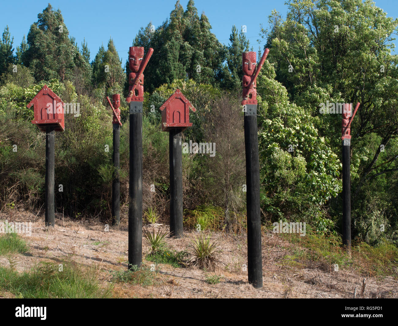 Maori pou whenua, carved wooden posts,  erected by Ngati Whare iwi at Te Whaiti, at the beginning of Minginui Road up the Whirinaki Valley Stock Photo