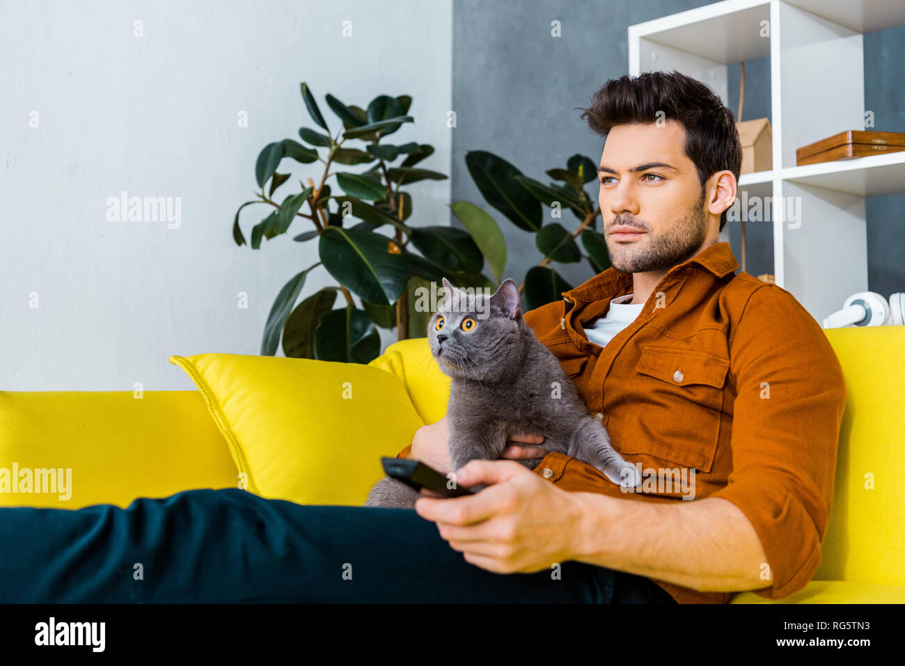 handsome man with remote control and grey cat watching tv at home Stock Photo