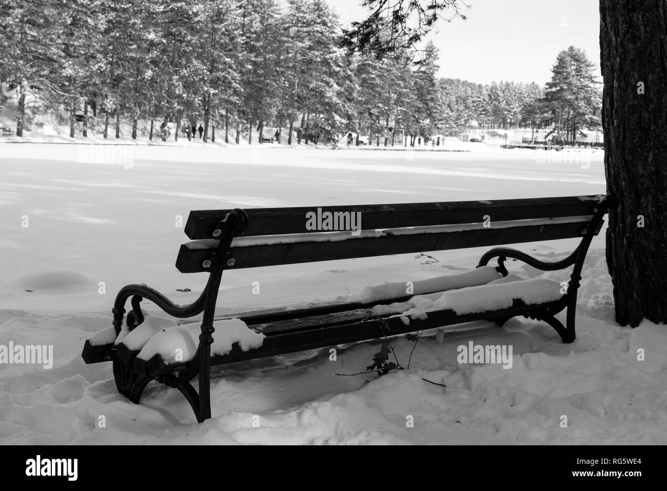 Bench covered by snow Stock Photo