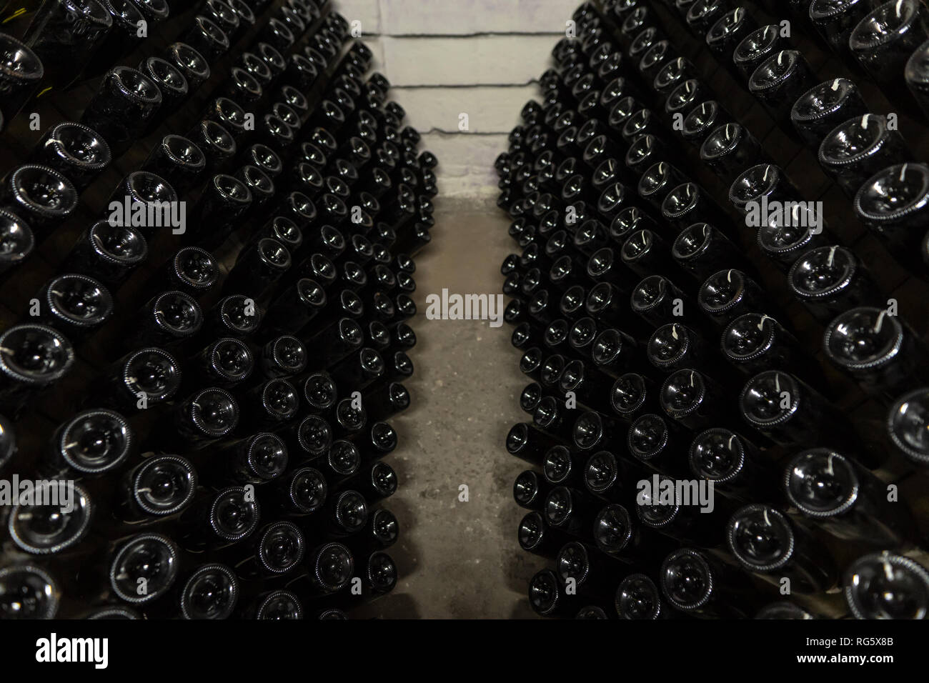 White sparkling wine bottles in the cellars of winery, sparkling wine fermenting on stands Stock Photo