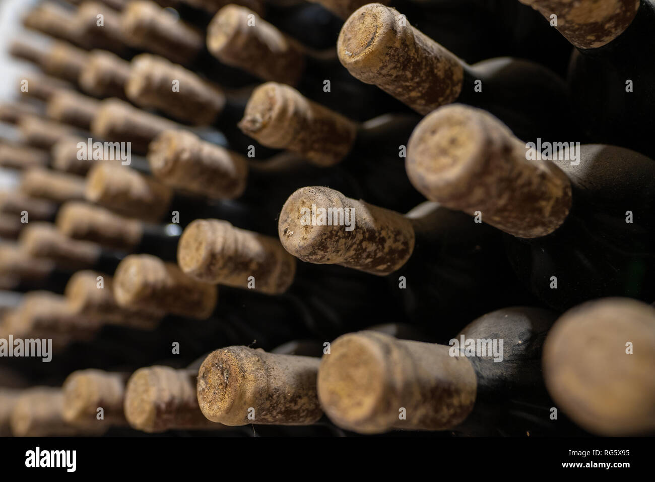 Wine bottles covered in dust and mold in a traditional winery Stock Photo